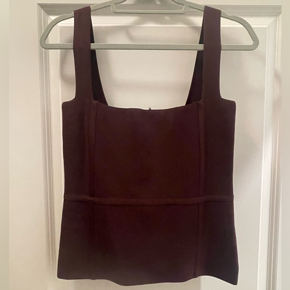 Zara Burgundy Sleeveless Bustier Tank Top